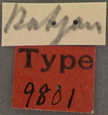 Media type: image; Entomology 9801   Aspect: labels 2